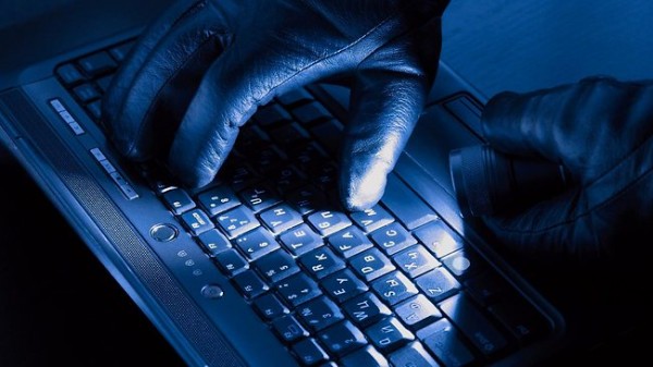 Security Developer